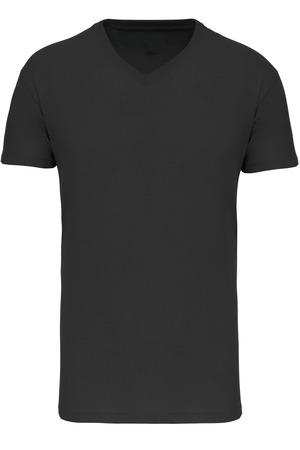 Herren-T-Shirt Bio150IC mit V-Ausschnitt