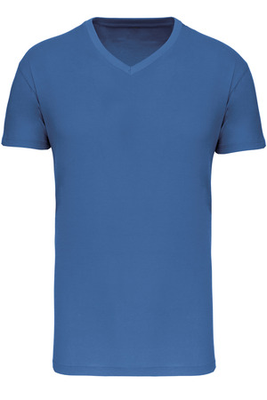 Herren-T-Shirt Bio150IC mit V-Ausschnitt