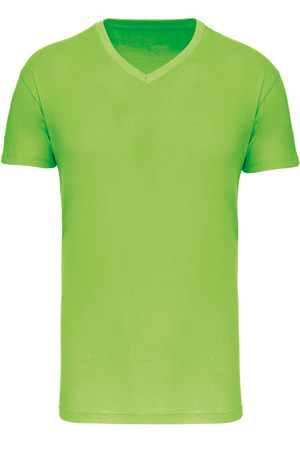 Herren-T-Shirt Bio150IC mit V-Ausschnitt