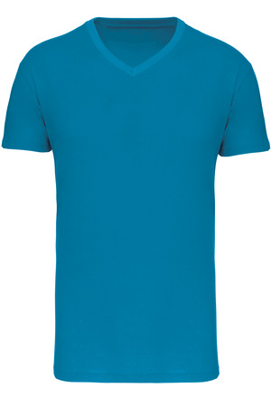 Herren-T-Shirt Bio150IC mit V-Ausschnitt