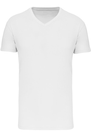 Herren-T-Shirt Bio150IC mit V-Ausschnitt