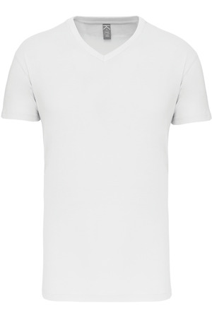 Herren-T-Shirt Bio150IC mit V-Ausschnitt