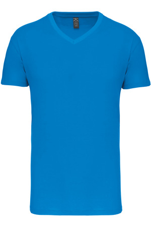 Herren-T-Shirt Bio150IC mit V-Ausschnitt